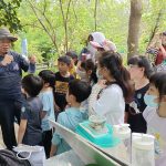 大坑蝶螢嘉年華4/11登場