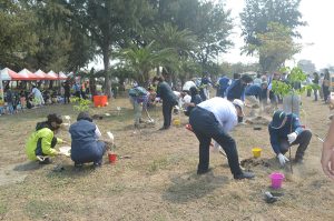 台中港務分公司辦植樹活動