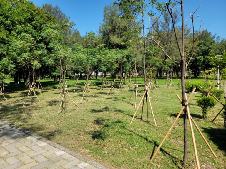 植樹造林 台中港打造綠色港灣