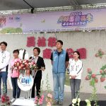 員林蜀葵花季盛大開幕 萬株花卉繽紛綻放