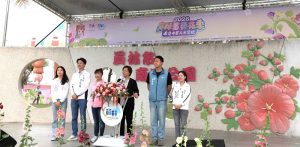 員林蜀葵花季盛大開幕 萬株花卉繽紛綻放