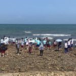 匠師的故鄉休閒農業區媽祖魚現蹤