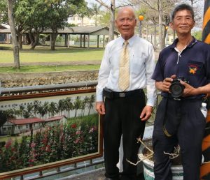 學甲蜀葵花海盛開 莊錦富攝影展吸睛