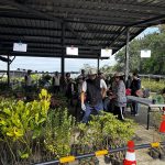 基市植樹月 3/12憑發票兌換樹苗