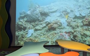 海科館建置望海巷生態地圖 水下一覽無遺