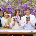 瑞里紫藤花浪漫綻放 嘉義山城化身紫色花廊邀旅人春遊賞花