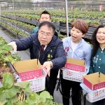 臺灣國際蘭展閉幕倒數 把握欣賞