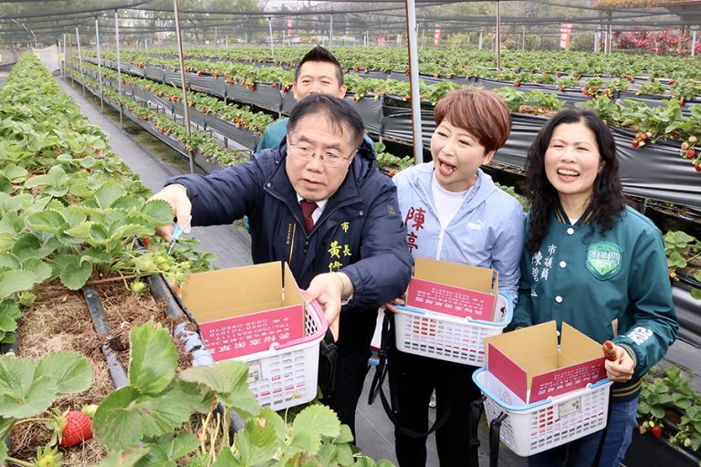 臺灣國際蘭展閉幕倒數 把握欣賞