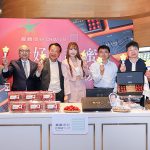 嘉義玉女小番茄 再掀市場熱潮