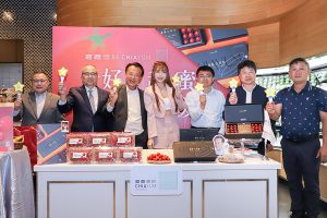 嘉義玉女小番茄 再掀市場熱潮