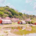 高雄合法露營場全國最多 觀光局推「春遊高雄野營三部曲」：賞花、泡湯、追螢一次滿足