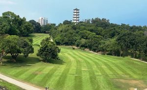 高雄果嶺自然公園38婦女節贈苗 送完為止