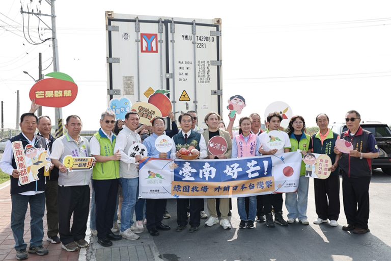 台南7噸冷凍芒果丁首發外銷