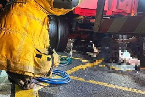 埔里深夜死亡車禍女騎士遭大貨車輾斃