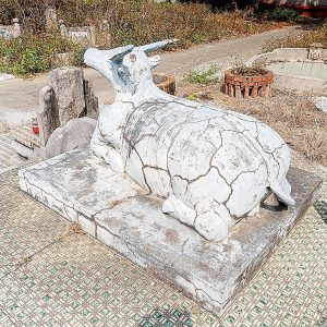 草屯牛王墓有人拜有人專程來拍照