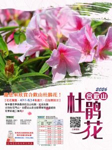 合歡山杜鵑花季疏運啟動 南投客運加開假日班次