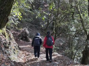 雨季登山風險增 林保署提醒安全第一