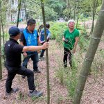 林地孟宗筍旱害 游顥籲跟進補助