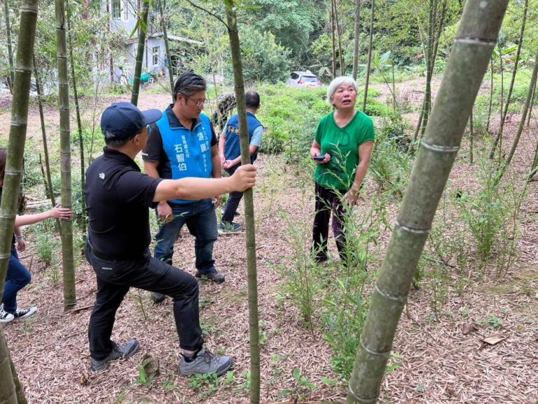林地孟宗筍旱害 游顥籲跟進補助