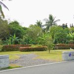 屏東推環保葬 成效亮眼