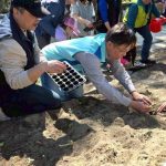 桃園首座 新屋濱海植物園開園