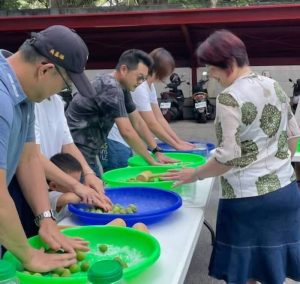 投縣警局青梅大豐收 同仁體驗採梅、製梅樂趣