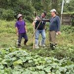 南市府擴大推動草鴞生態給付