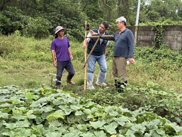 南市府擴大推動草鴞生態給付