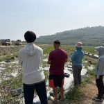 豪雨農損 洋香瓜、西瓜及香瓜救助 5月1日起受理