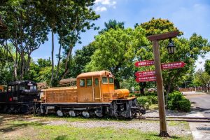 連假來“嘉”玩 戶外「凹豆咖」室內「文青派」都適合