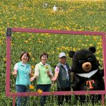 虎山巖金針花海 五一歡迎來賞花