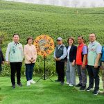 虎山巖金針花 蓄勢待開