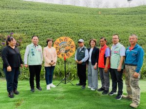 虎山巖金針花 蓄勢待開