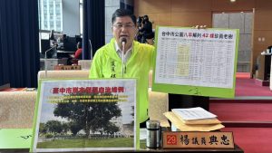 中市公園珍貴老樹8年死42棵 楊典忠轟樹保條例別成「老樹解列條例」