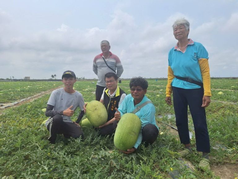 張明寶巡視西瓜田 助提升學甲西瓜品牌