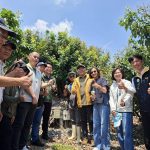 智慧灌溉救旱情 高雄農民省工50%、產值增20%