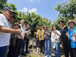 智慧灌溉救旱情 高雄農民省工50%、產值增20%