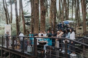 阿里山115年四季茶旅 全新啟航