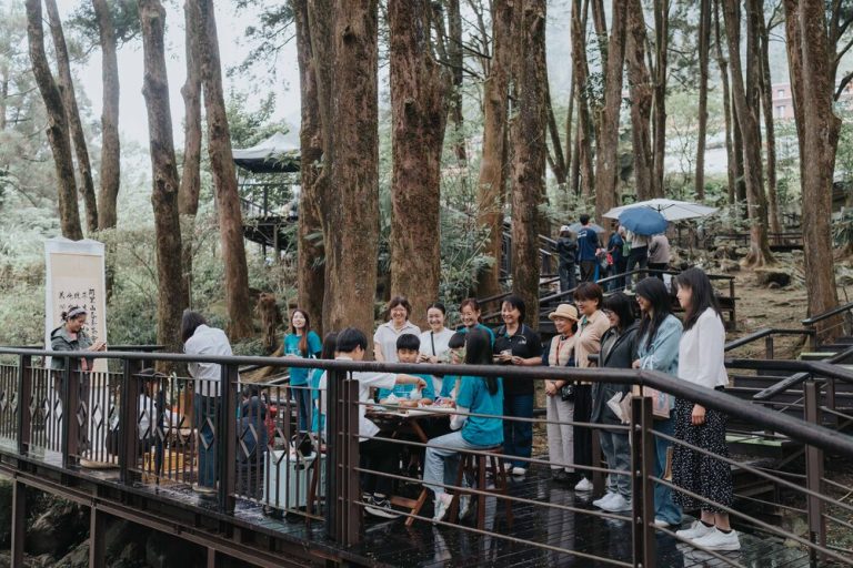 阿里山115年四季茶旅 全新啟航
