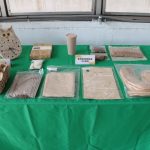 香蕉廢材變綠金　「假莖取纖」打造循環經濟新典範