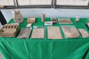 香蕉廢材變綠金　「假莖取纖」打造循環經濟新典範