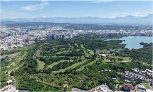 找一片綠心—春日野餐趣 周六起跑
