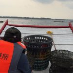 假日不打烊 台南海域取締非法漁業扣留漁具招領