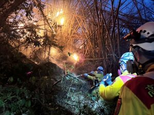 內門山林火警 消防局跨單位搶救