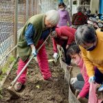 北榮桃園分院「長樂居開心農場」登場  綠意中種出健康與笑容