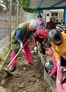 北榮桃園分院「長樂居開心農場」登場  綠意中種出健康與笑容