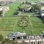 外埔彩繪稻田 台中領鮮登場