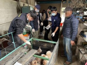 嘉縣近期查獲兩起犬隻疑遭割聲帶案 已移送偵辦