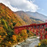 阿里山林鐵攜日本鐵道推期間限定票