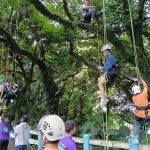 基市森林快閃遊戲場 一起攀樹趣